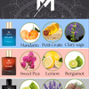 100 ml Pack of 3 Perfumes (100ml*3 Pcs) - Minati Luxury